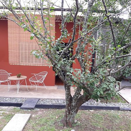 Апартаменты Alquiler Monoambiente Сан-Сальвадор-де-Жужуй Экстерьер фото